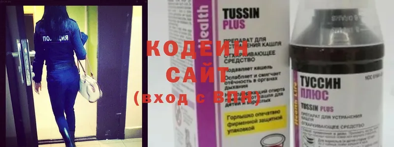 kraken ССЫЛКА  Нестеров  Кодеин Purple Drank 