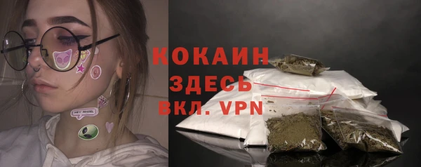 индика Новодвинск