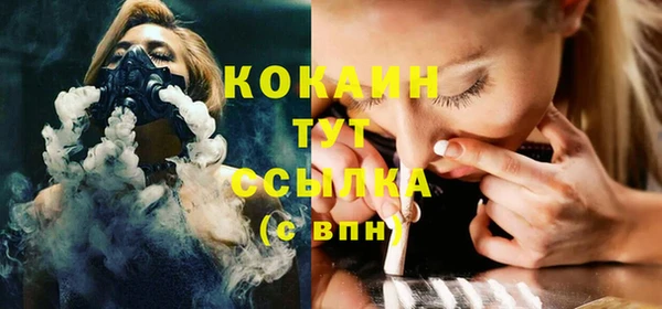 ешки Новозыбков