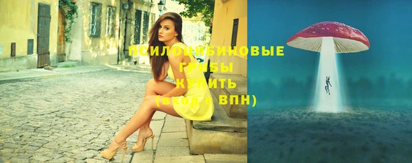 Альфа ПВП Нея
